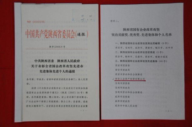 2009年2月，被陜西省委、省政府授予陜西省國有企業(yè)改革攻堅先進集體